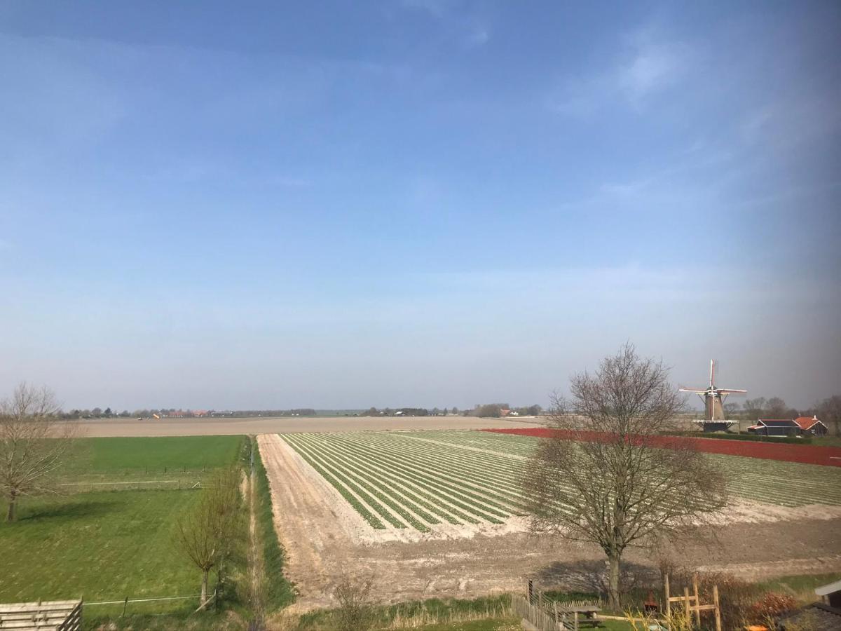 In De Gele Hoed Mooie Appartementen Met Fantastisch Uitzicht Zonnemaire Exterior foto