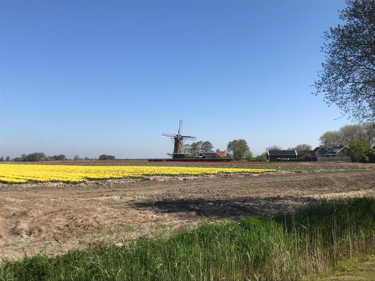 In De Gele Hoed Mooie Appartementen Met Fantastisch Uitzicht Zonnemaire Exterior foto